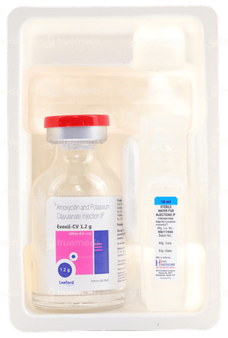 Evoxil Cv 1.2 GM Injection 1